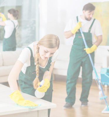 Cleaning service with professional equipment during work